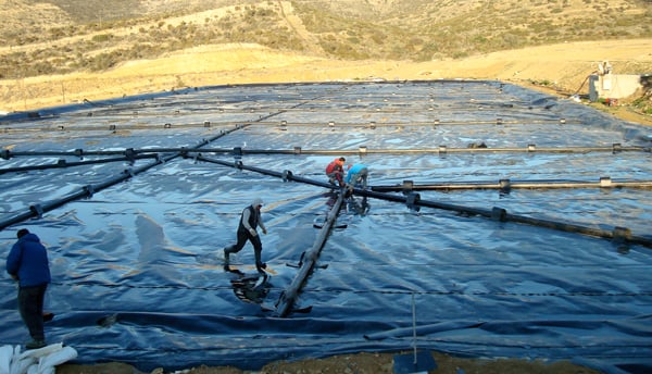 biodigester-sai1