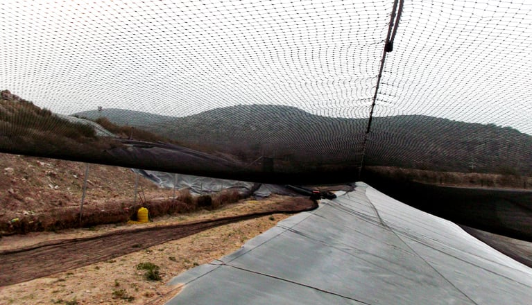 bird_netting_sai
