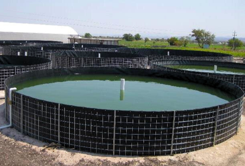 revestimiento-geomembrana-estanque-acuicultura