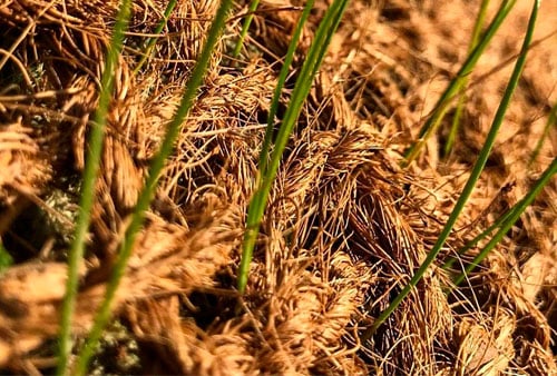 malla-de-coco-naue-control-erosion