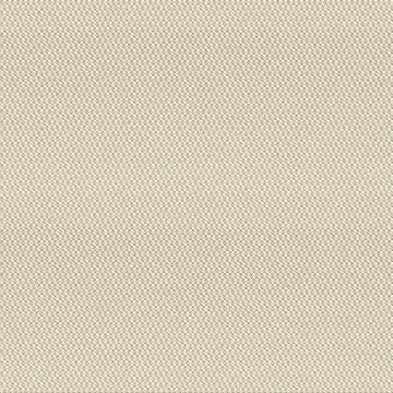 Modern-textures_Bubbly-Ecru 10202