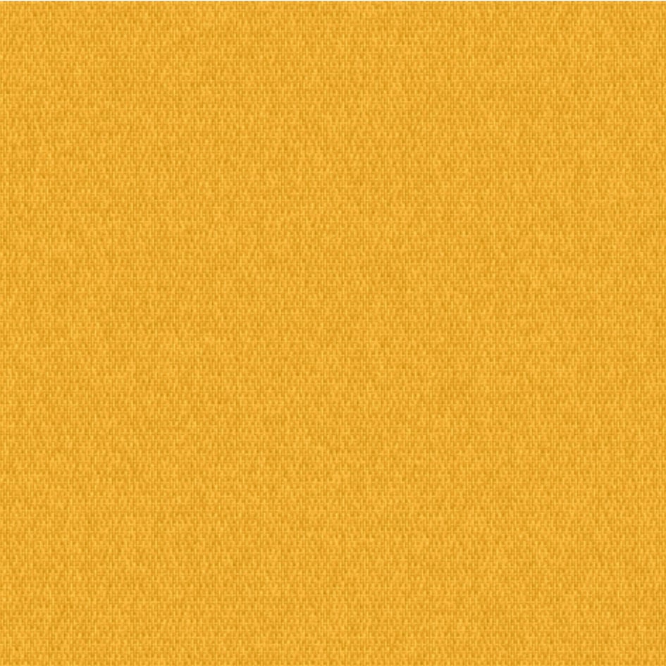 5414-Dandelion Solids-Ovation3