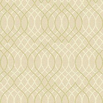 Ovation-3_Melody-lichen 8711 