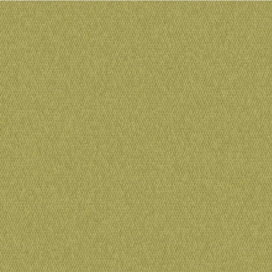 5432-Pesto Solids-Ovation3