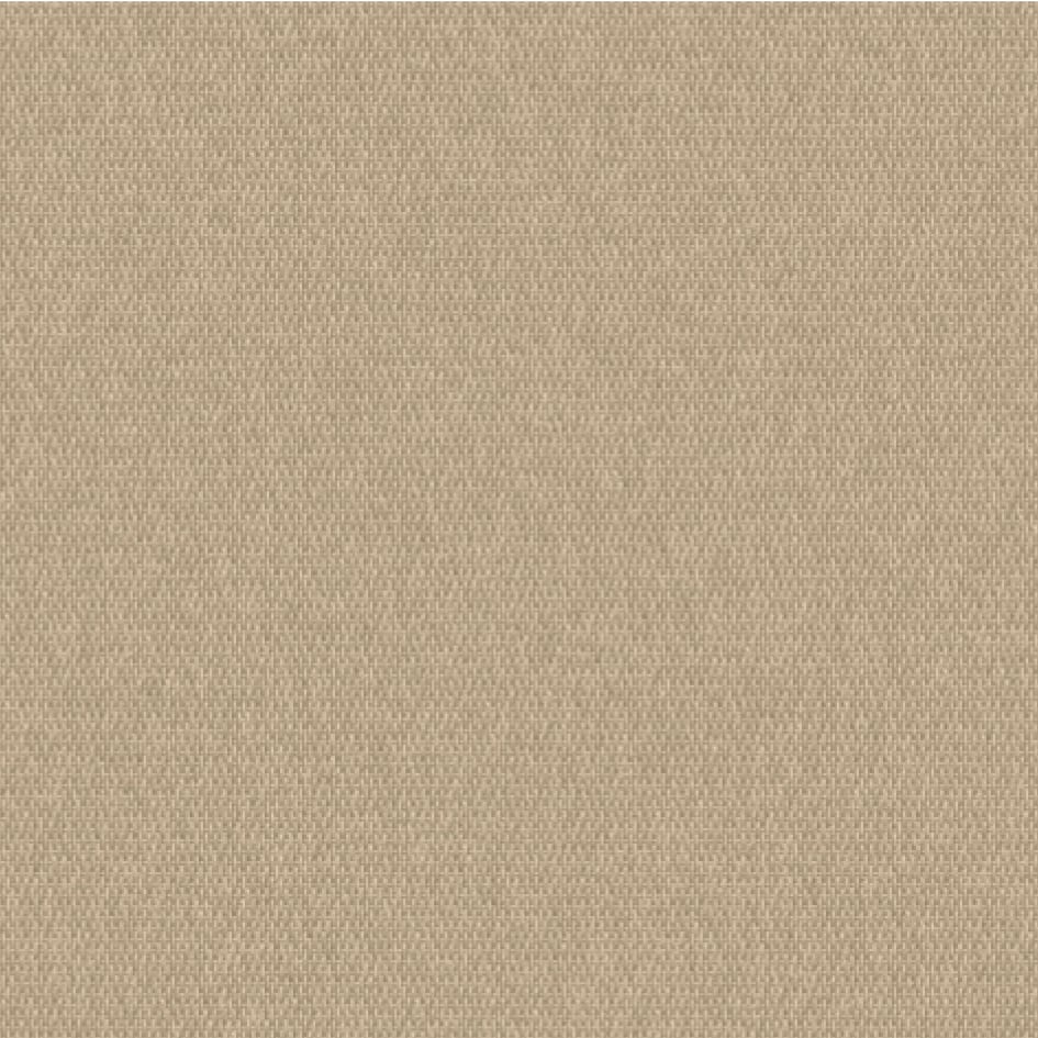 5459-Stucco Solids-Ovation3