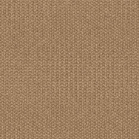 5460 Burnish (1)