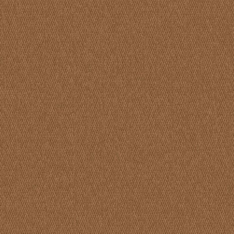 5421 Sepia