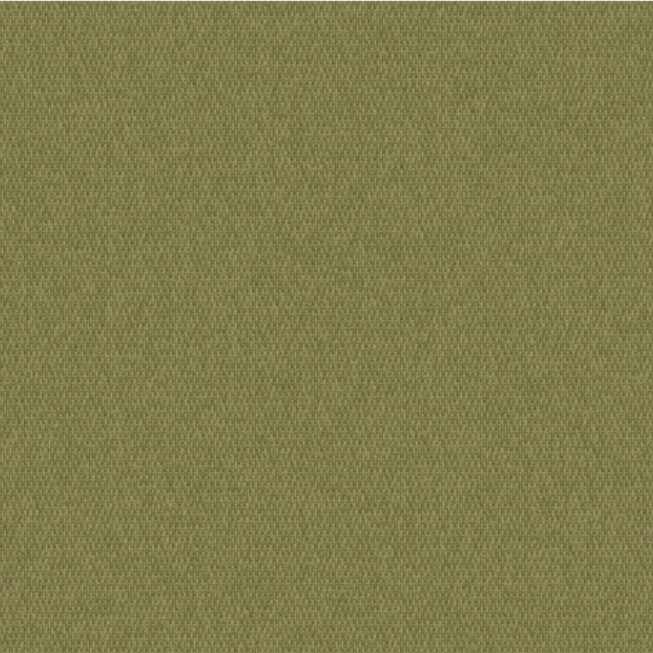 5428-Olive Solids-Ovation3
